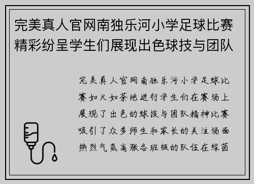 完美真人官网南独乐河小学足球比赛精彩纷呈学生们展现出色球技与团队精神